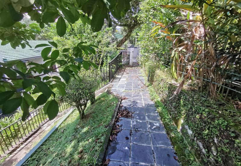 Bungalow large garden and pool @ Bukit Tunku (Kenny Hills)