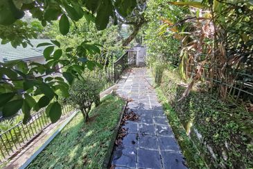 Bungalow large garden and pool @ Bukit Tunku (Kenny Hills)