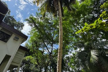 3 storey classic bungalow @ Bukit Tunku (Kenny Hills)