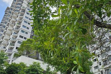 Maisson @ Platinum Apartment