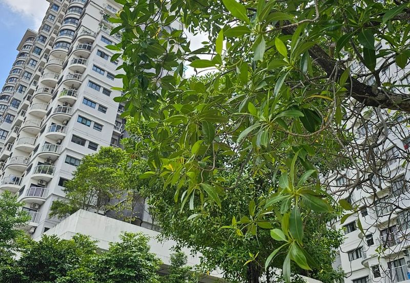 Maisson @ Platinum Apartment