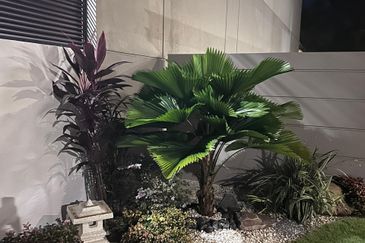 Dalia Residences @ Tropicana Aman