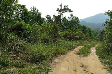 Kuala selangor land for sale