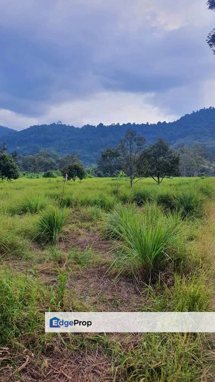 Broga Agricultural land for Sales, Selangor, Semenyih