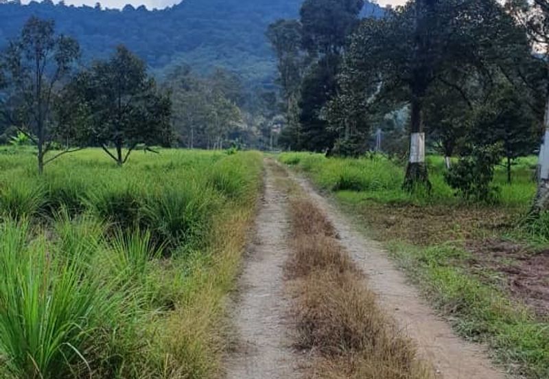 Jalan Broga