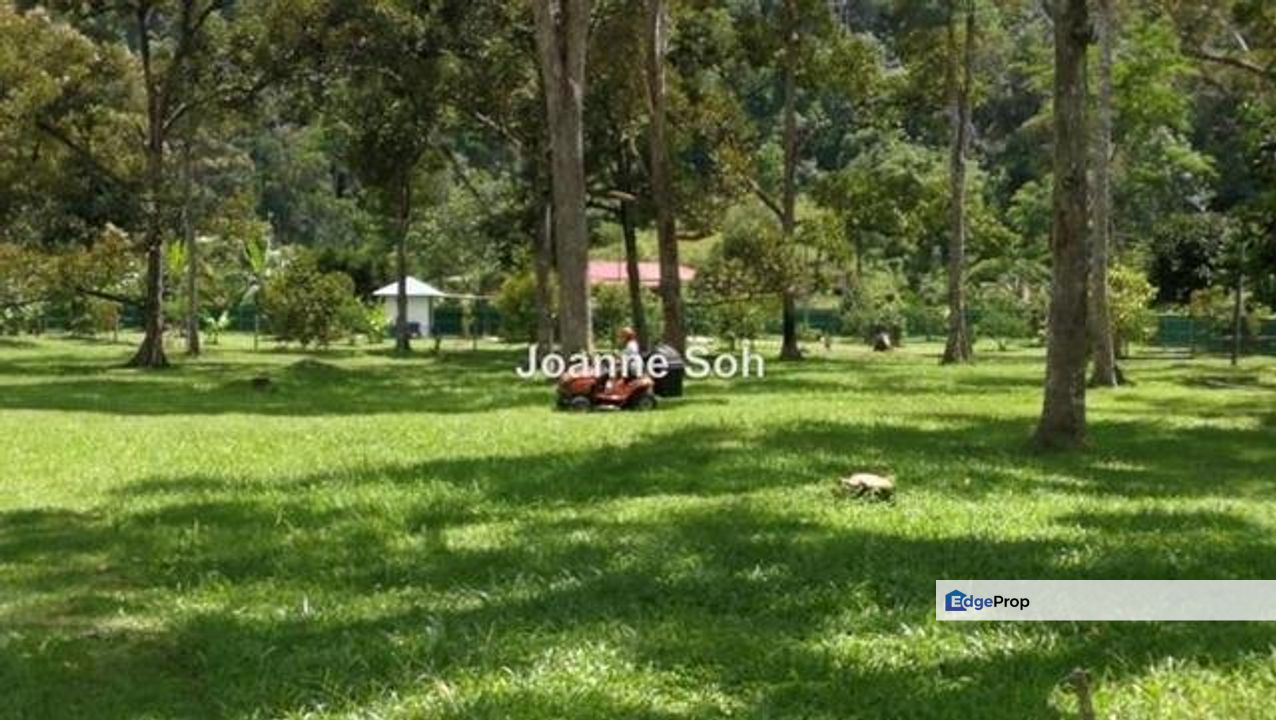 Agricultural Land Taiping For Sale For Sale Rm1 700 000 By Joanne Soh Edgeprop My