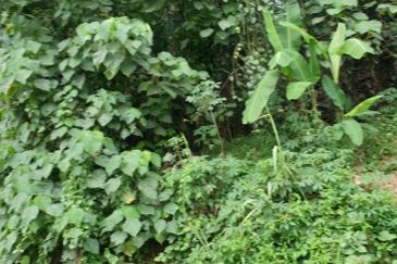 OFF BT 10 JALAN KAPAR