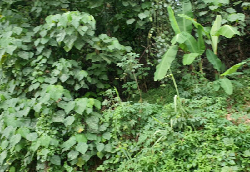 OFF BT 10 JALAN KAPAR