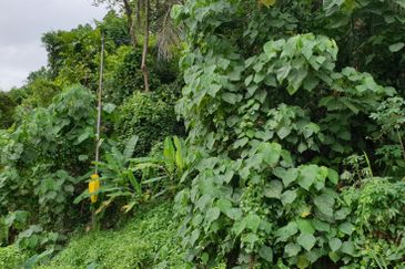 OFF BT 10 JALAN KAPAR