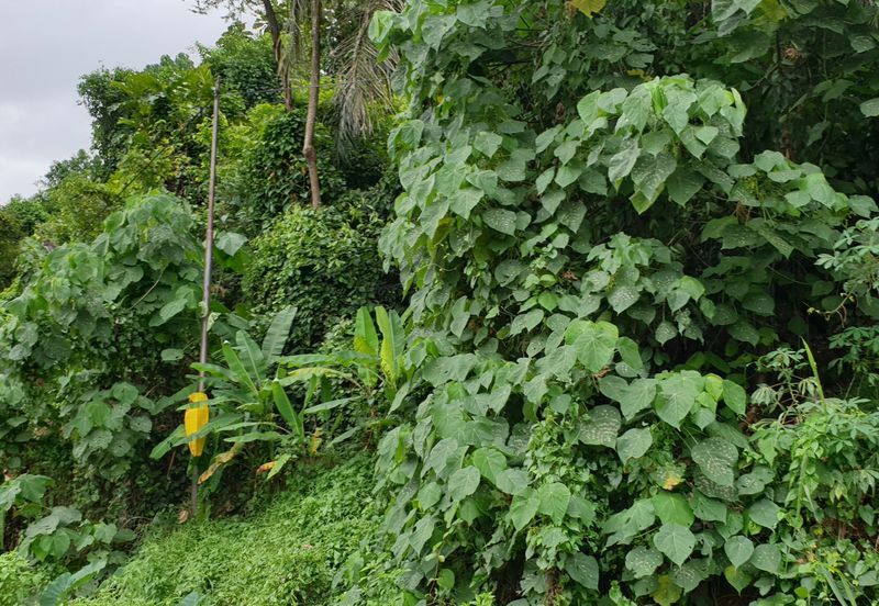 OFF BT 10 JALAN KAPAR