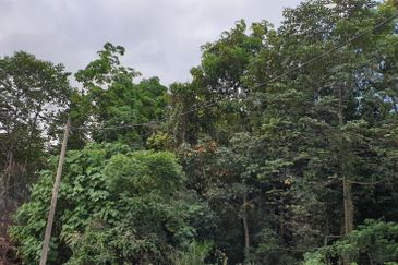 OFF BT 10 JALAN KAPAR