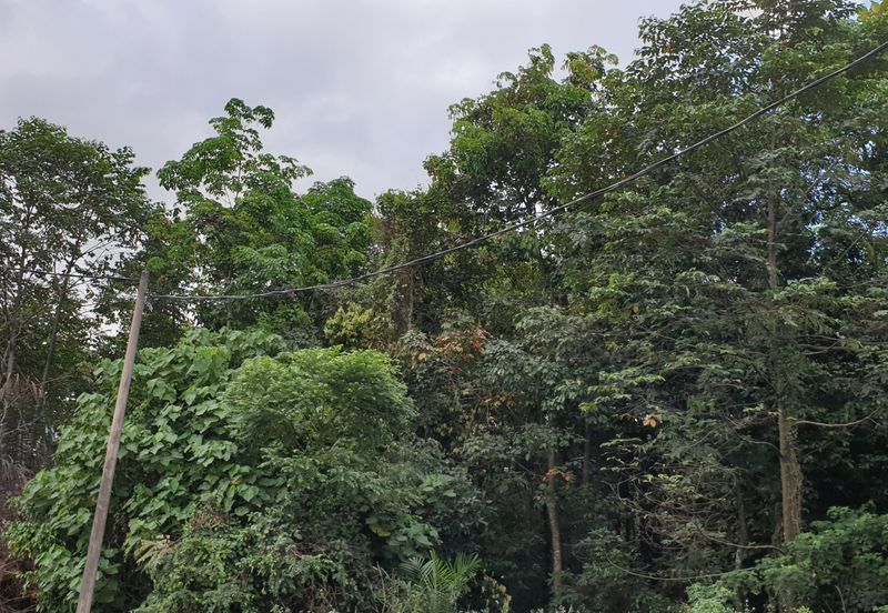 OFF BT 10 JALAN KAPAR