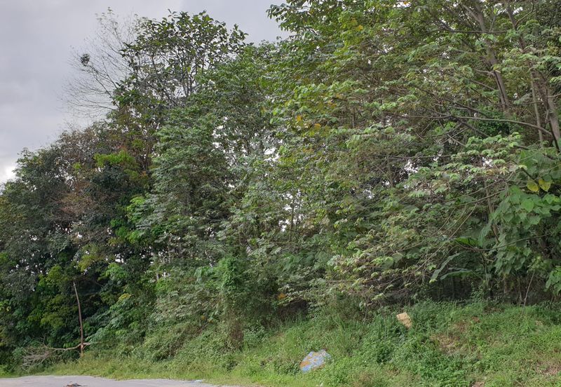 OFF BT 10 JALAN KAPAR