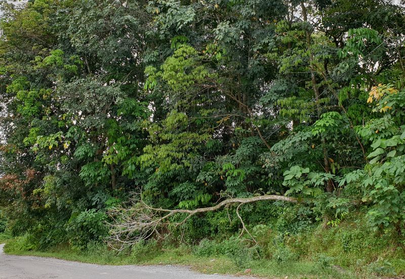 OFF BT 10 JALAN KAPAR