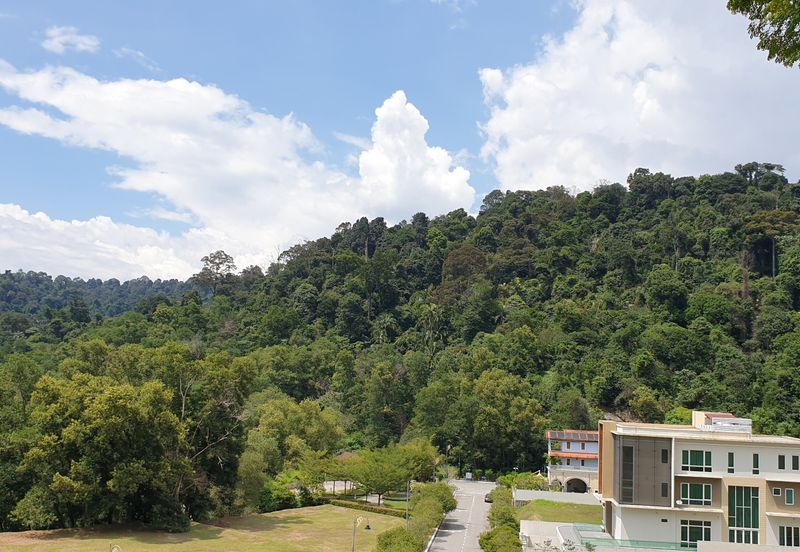 The Peak @ Taman TAR