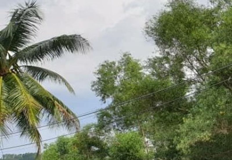 Damansara Heights (Bukit Damansara)