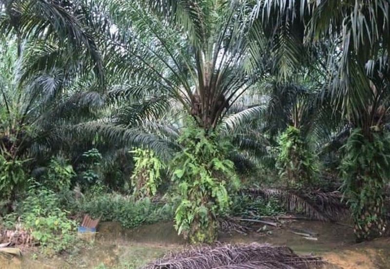 Cheras Industrial Land Freehold Facing main road