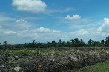 Klang Sijangkang Teluk Panglima Garang Agri land 
