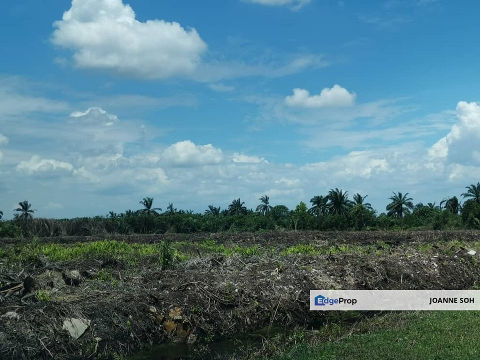 Klang Sijangkang Teluk Panglima Garang Agri land , Selangor, Klang