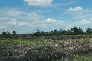 Klang Sijangkang Teluk Panglima Garang Agri land 