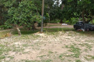 Sepang Freehold Agri in Ind zoning 3acres For Sale