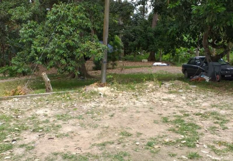 Sepang Freehold Agri in Ind zoning 3acres For Sale