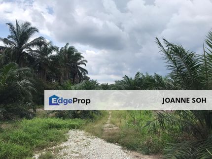 Freehold Agri land at Banting Selangor For Sale !!, Selangor, Banting