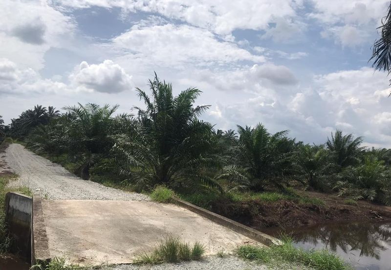 Freehold Agri land at Banting Selangor For Sale !!