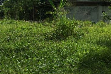 Freehold Semenyih Beranang Agri land For Sale!