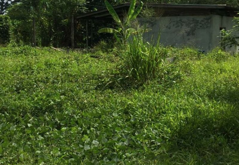 Freehold Semenyih Beranang Agri land For Sale!