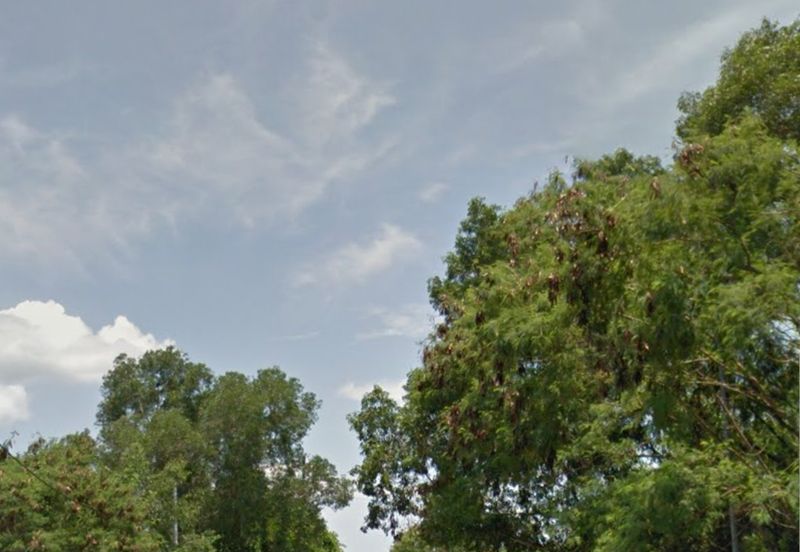 Warehouse Brand New bungalow factory at Westport