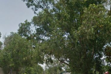 Warehouse Brand New bungalow factory at Westport