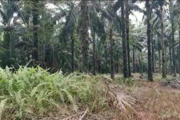 Freehold Sepang Agri land 5.12acres For Sale!!