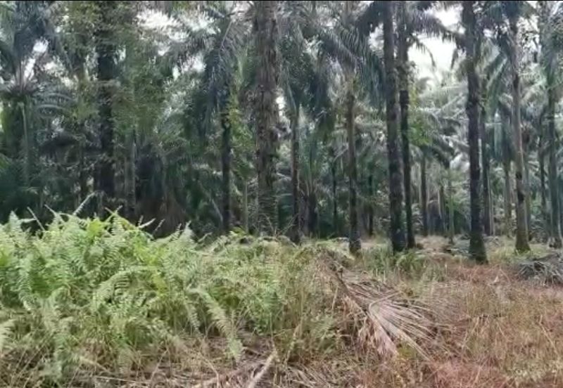 Freehold Sepang Agri land 5.12acres For Sale!!