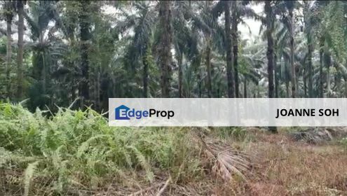 Freehold Sepang Agri land 5.12acres For Sale!!, Selangor, Dengkil