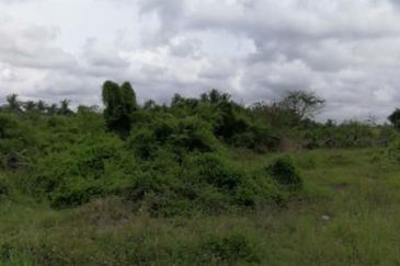 Klang Agri Land Freehold For Sale!!