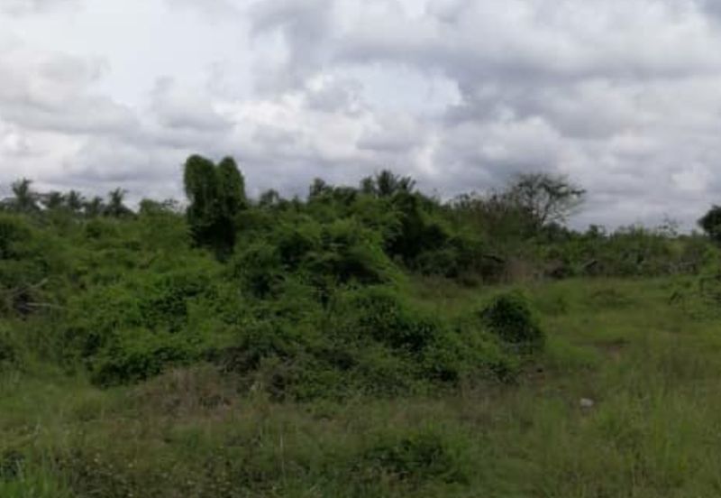 Klang Agri Land Freehold For Sale!!