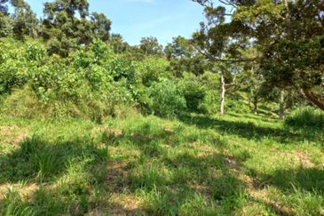 Freehold Agri Land rm 30persqft in Selangor 