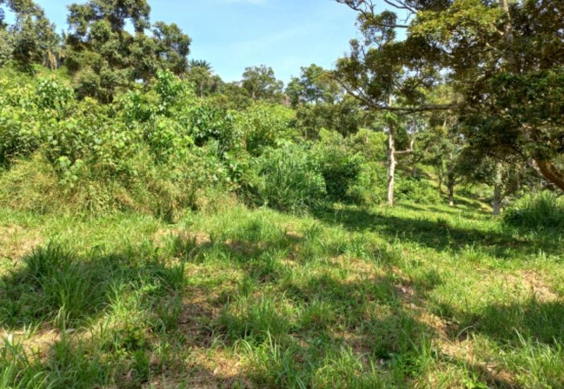Freehold Agri Land rm 30persqft in Selangor 