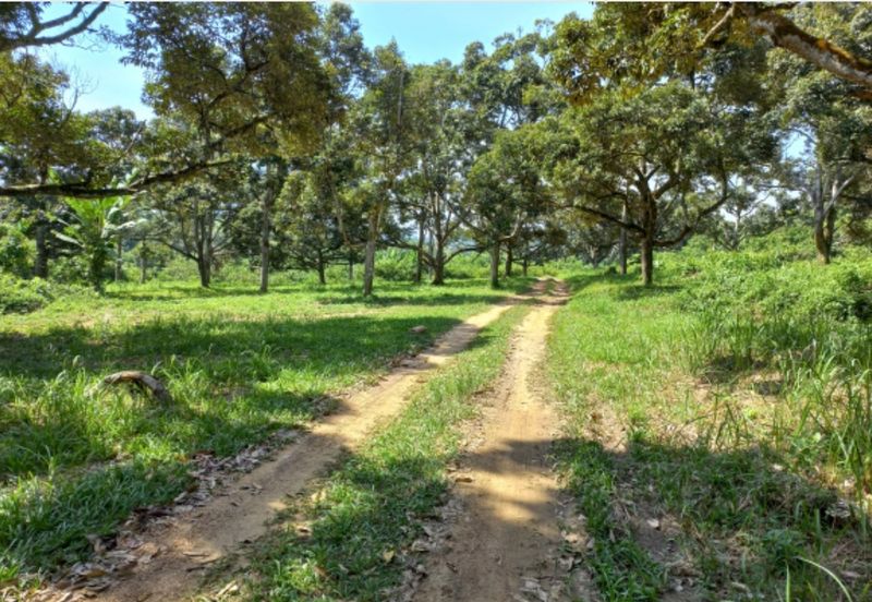 Freehold Agri Land rm 30persqft in Selangor 