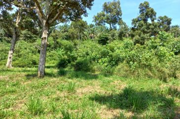 Freehold Agri Land rm 30persqft in Selangor 