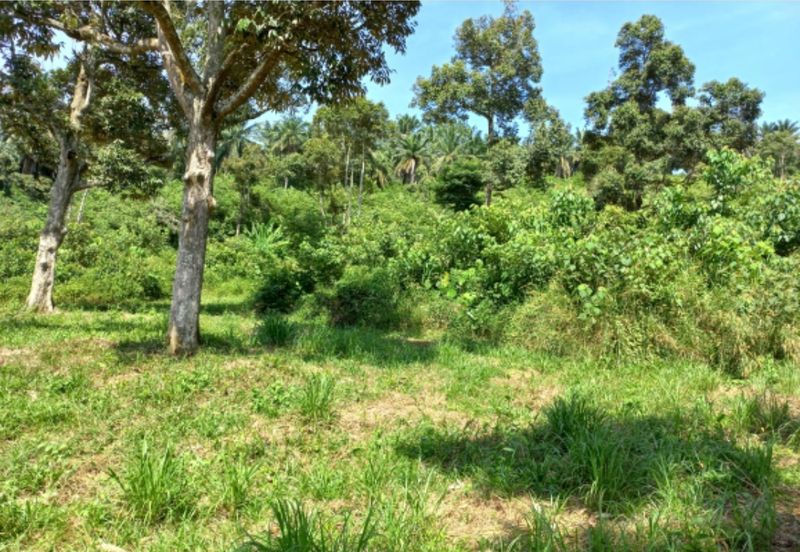 Freehold Agri Land rm 30persqft in Selangor 