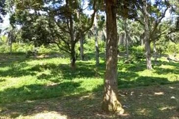 Freehold Agri Land rm 30persqft in Selangor 