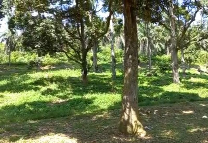 Freehold Agri Land rm 30persqft in Selangor 