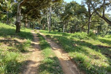 Freehold Agri Land rm 30persqft in Selangor 