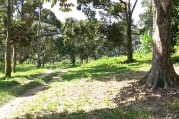 Bandar Baru Salak Tinggi