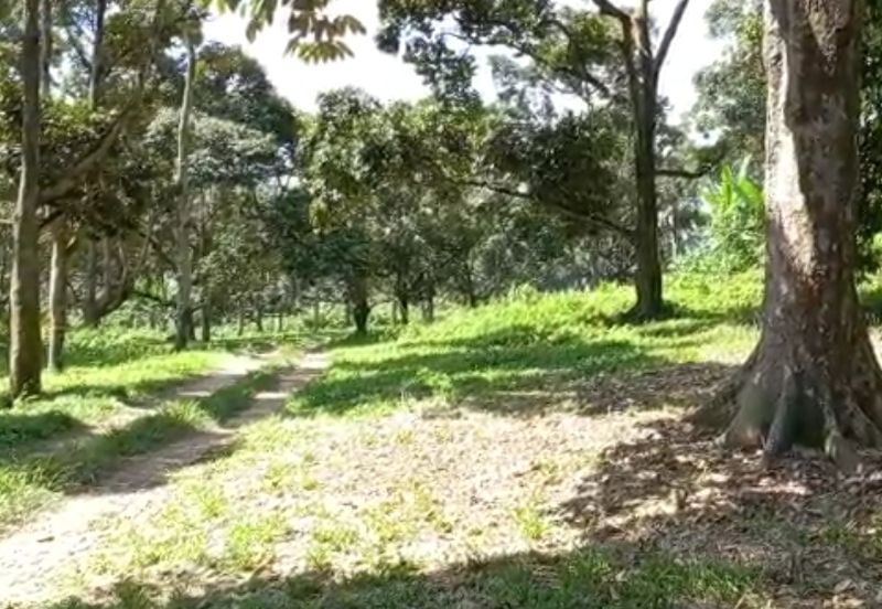 Bandar Baru Salak Tinggi