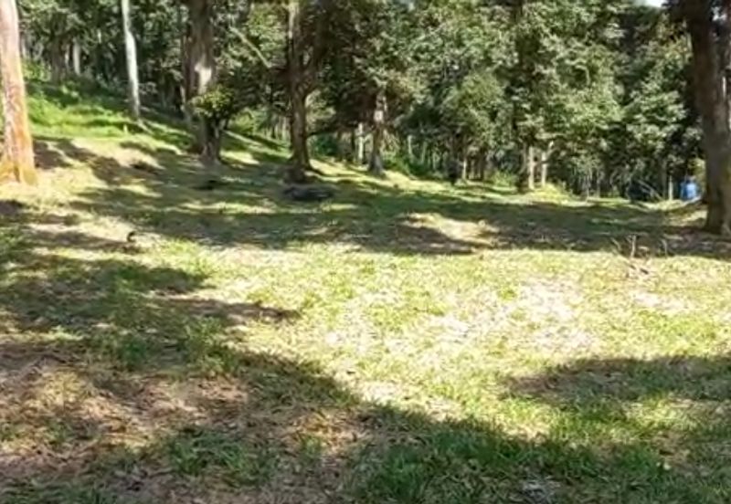 Bandar Baru Salak Tinggi