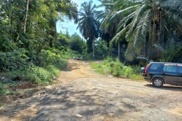 Freehold Agri Land rm 30persqft in Selangor 