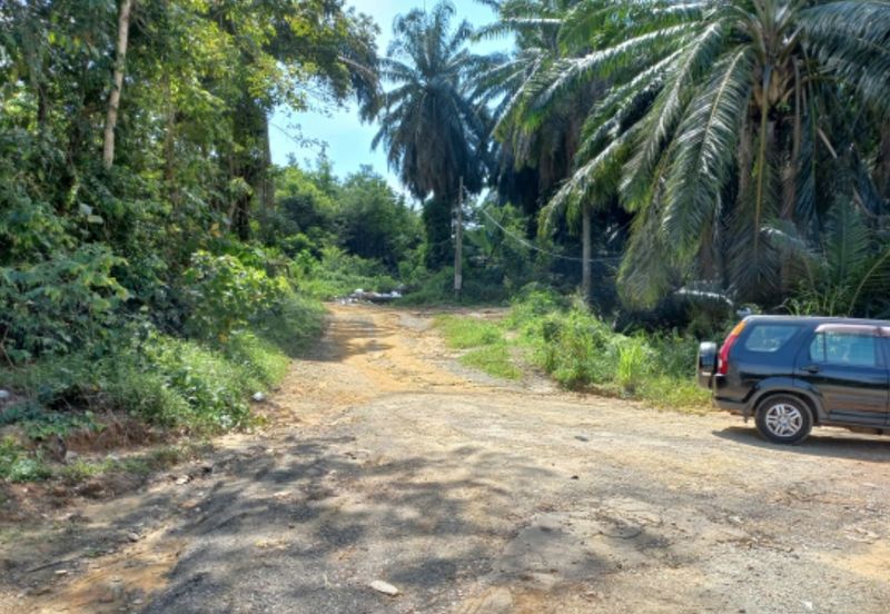 Freehold Agri Land rm 30persqft in Selangor 